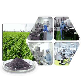 Volten Technology